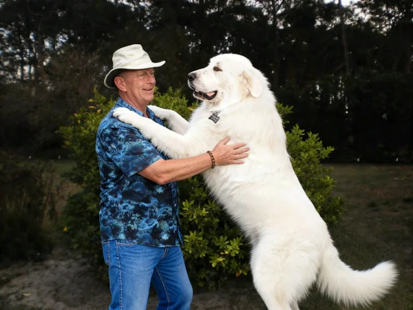 Will Thomas with his Great Pyrenees, Winter
